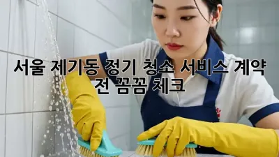 서울 제기동 정기 청소 서비스, 계약 전 꼼꼼 체크!