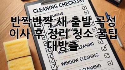 반짝반짝✨ 새 출발! 곡성 이사 후 정리, 청소 꿀팁 대방출🏡
