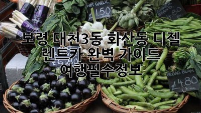 보령 대천3동 화산동 디젤 렌트카 완벽 가이드 🚗💨 #여행필수정보